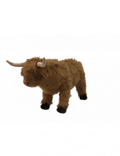 WILD AND SOFT HIGHLAND COW