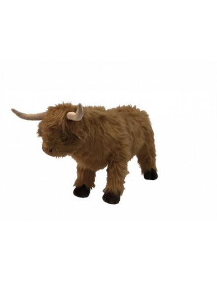 WILD AND SOFT HIGHLAND COW