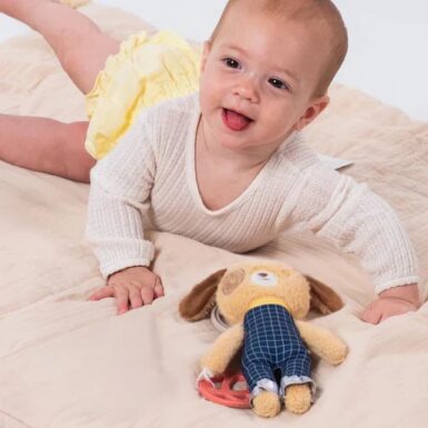 TAFTOYS DANIEL ACTIVITY TOY