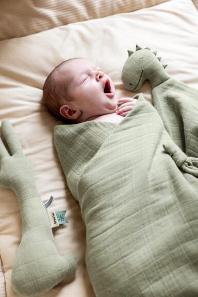 TRIXIE BLISS SAGE DEKEN WIEG 75X100 CM - GROEN
