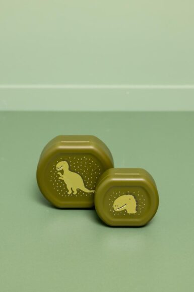 TRIXIE SNACKBOX MET CLIP 2 STUKS MR DINO - GROEN