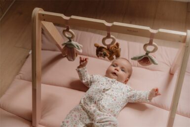 LITTLE DUTCH FAIRY GARDEN BABYGYM