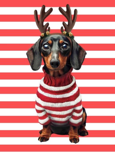 SNURK PIERRE XMAS SWEATER EN BROEK SET KIDS