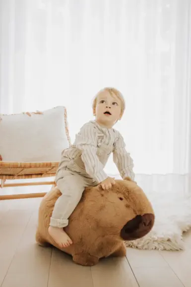 WILD AND SOFT SOFT BOUNCY CAPIBARA