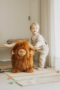 WILD AND SOFT SOFT BOUNCY HOOGLANDKOE
