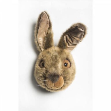 WILD AND SOFT DIERENHOOFD HAAS LEWIS - BRUIN