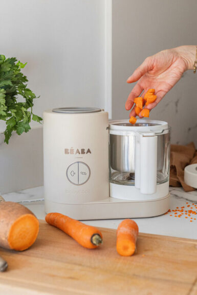 BEABA BABYCOOK NEO CLAY