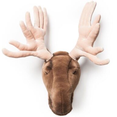 WILD AND SOFT DIERENHOOFD ELAND ALFRED GROOT - BRUIN
