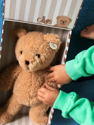 BTTOYS CHAPS GUS THE HOMIE BEAR IN GIFTBOX 25CM