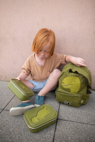 TRIXIE BROODDOOS KLEIN MR DINO - GROEN