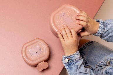 TRIXIE SNACKBOX MET CLIP 2 STUKS MRS CAT- ROZE
