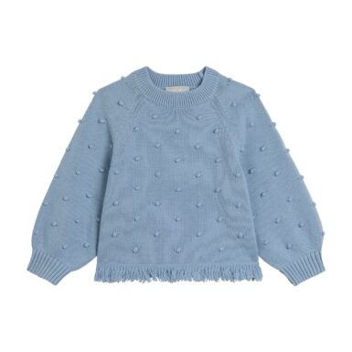 STELLA MCATRTNEY SWEATER BLAUW MET BOLLETJES