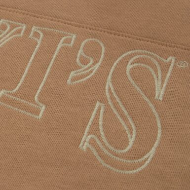 LEVI'S SWEATER MET GEBORDUURDE LOGO - BRUIN