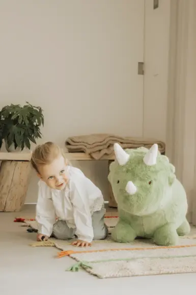 WILD AND SOFT SOFT BOUNCY DINO